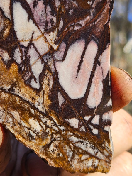 Polished Outback Jasper slab OJ180