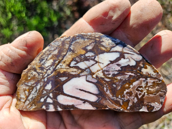 Polished Outback Jasper slab OJ180