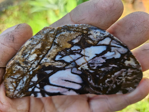 Polished Outback Jasper slab OJ180