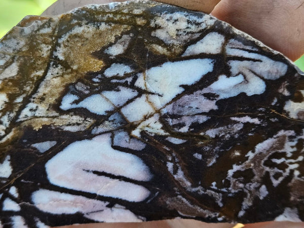 Polished Outback Jasper slab OJ180