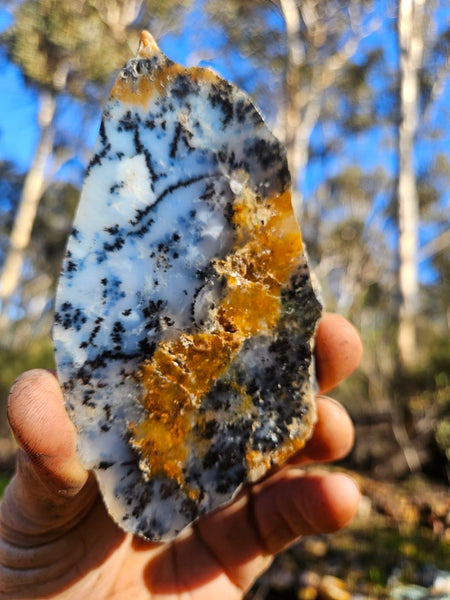 Polished Dendritic Opal slab DO199