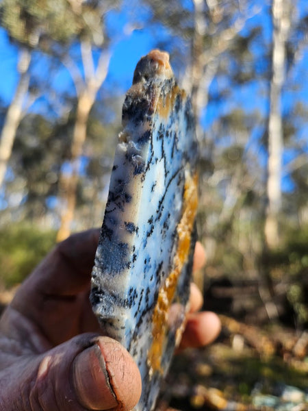 Polished Dendritic Opal slab DO199