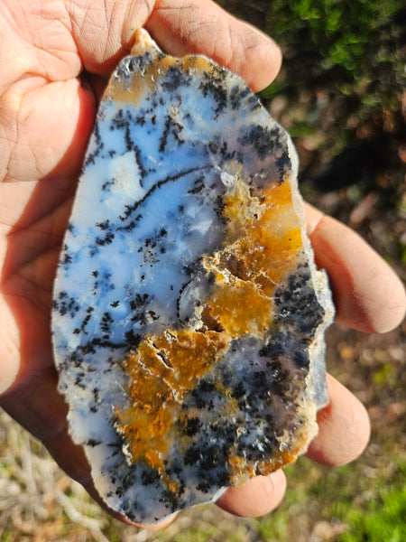 Polished Dendritic Opal slab DO199