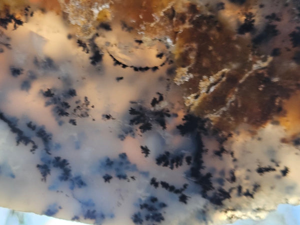 Polished Dendritic Opal slab DO199