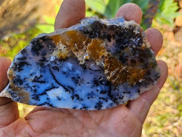 Polished Dendritic Opal slab DO199