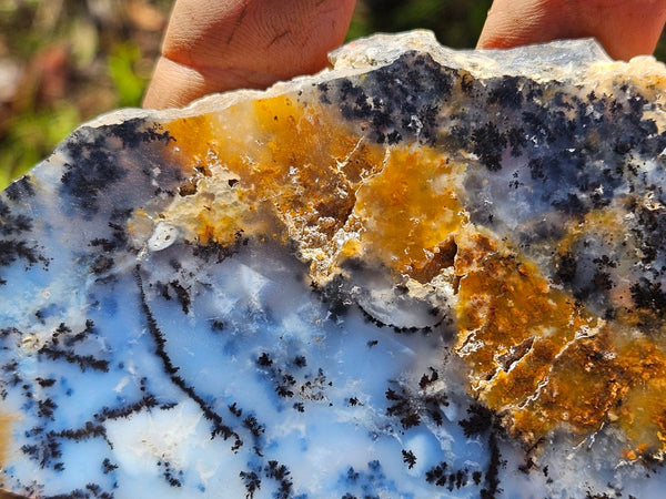 Polished Dendritic Opal slab DO199