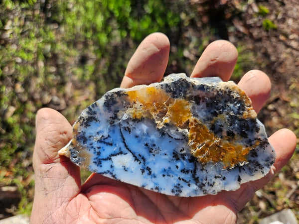 Polished Dendritic Opal slab DO199