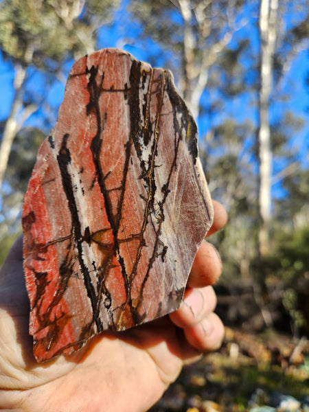 Polished Outback Jasper  OJ179