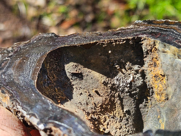 Hematite Geode  HEM137