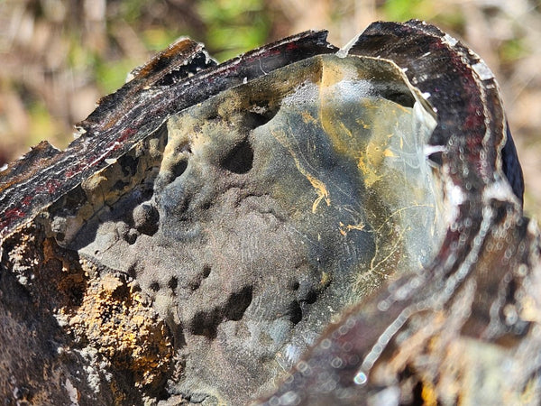 Hematite Geode  HEM137