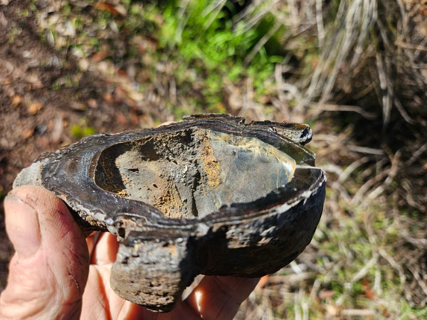 Hematite Geode  HEM137