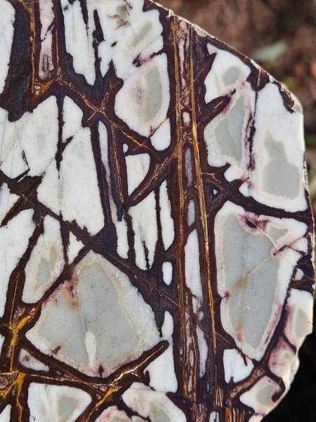 Polished Outback Jasper  OJ178