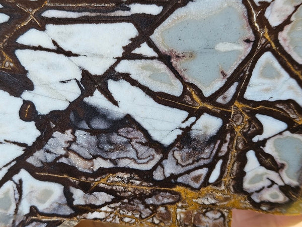 Polished Outback Jasper  OJ178