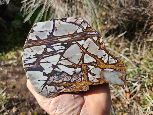 Polished Outback Jasper  OJ178