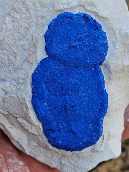 Azurite Sun  AZ132