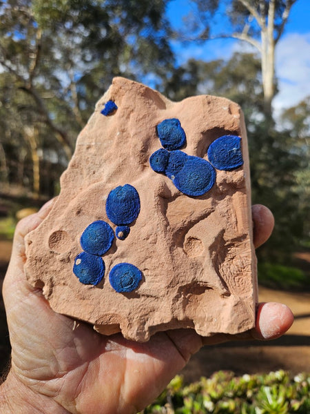 Azurite Sun  AZ133