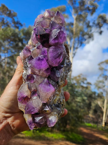 Wyloo Amethyst crystal cluster. AM135