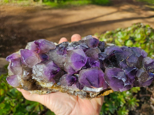 Wyloo Amethyst crystal cluster. AM135