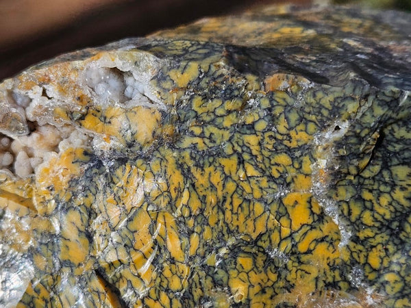 Dendritic Opal  rough.  DOR246