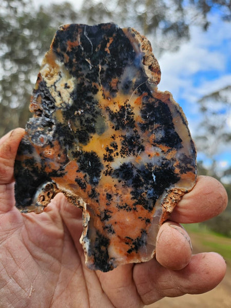 Polished Dendritic Opal slab DO197