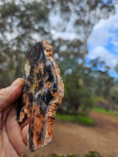 Polished Dendritic Opal slab DO197