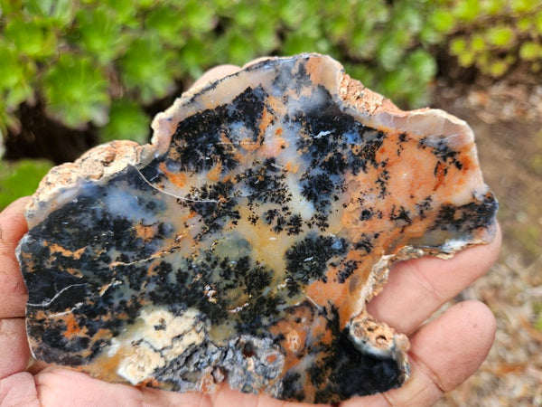 Polished Dendritic Opal slab DO197