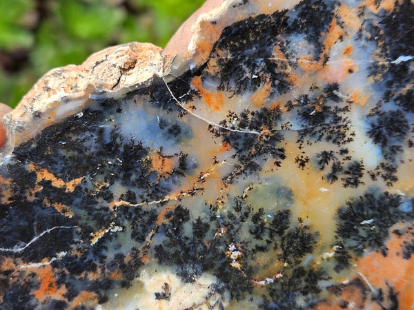 Polished Dendritic Opal slab DO197