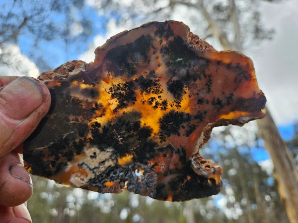 Polished Dendritic Opal slab DO197