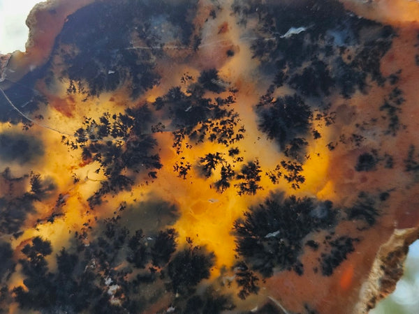 Polished Dendritic Opal slab DO197