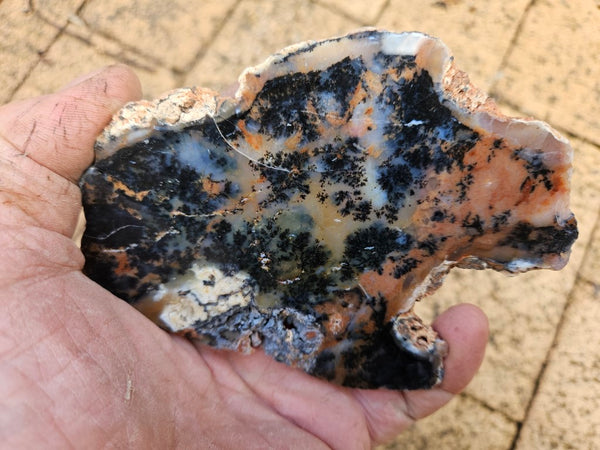 Polished Dendritic Opal slab DO197