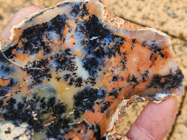 Polished Dendritic Opal slab DO197