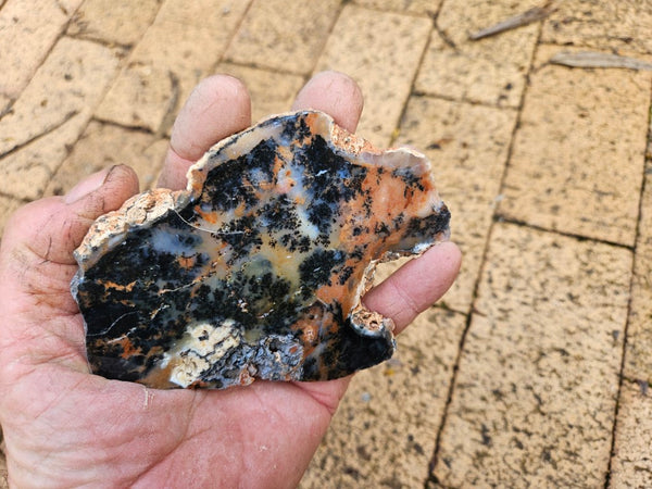 Polished Dendritic Opal slab DO197