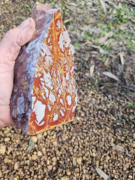 Polished Noreena Jasper. NJ468