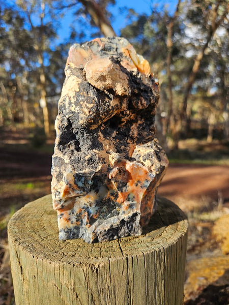 Polished Dendritic Opal  DO200