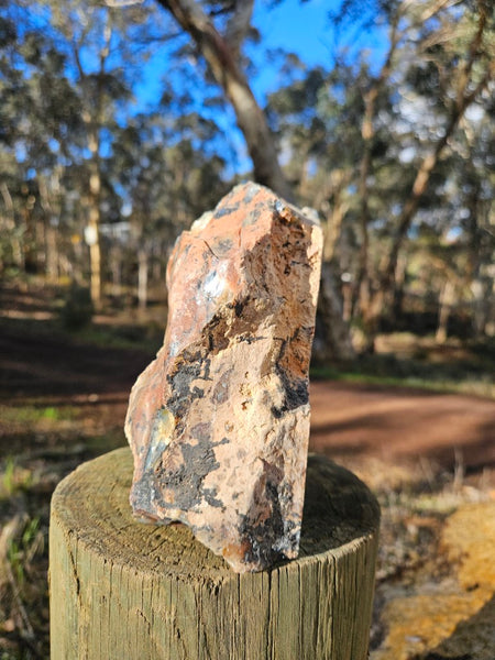 Polished Dendritic Opal  DO200