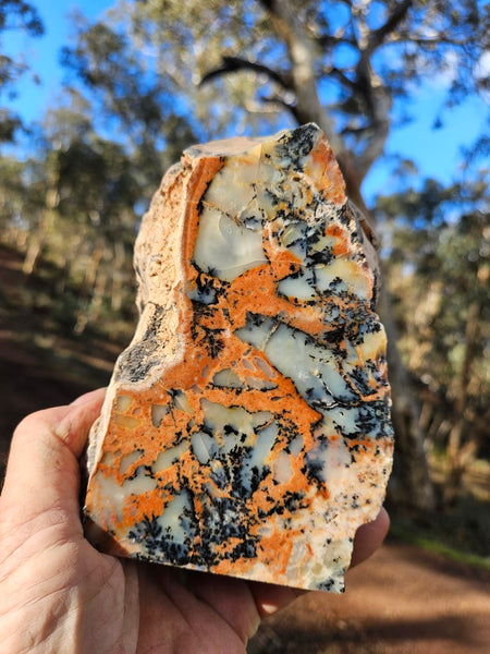 Polished Dendritic Opal  DO200