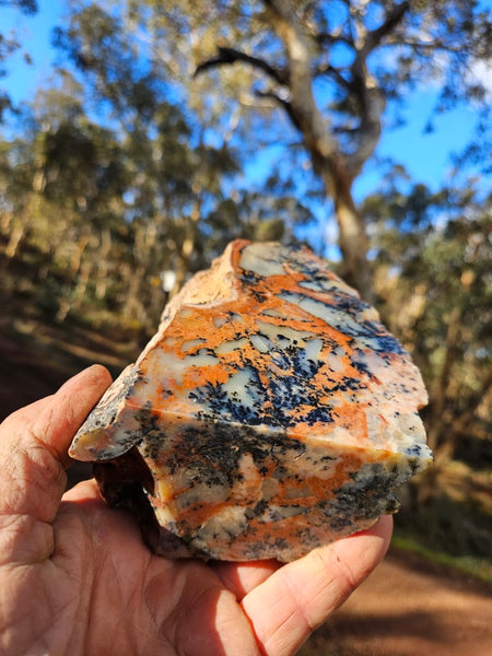 Polished Dendritic Opal  DO200