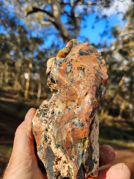 Polished Dendritic Opal  DO200