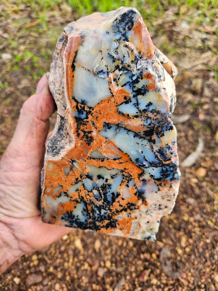 Polished Dendritic Opal  DO200