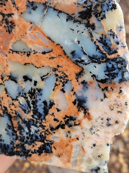 Polished Dendritic Opal  DO200