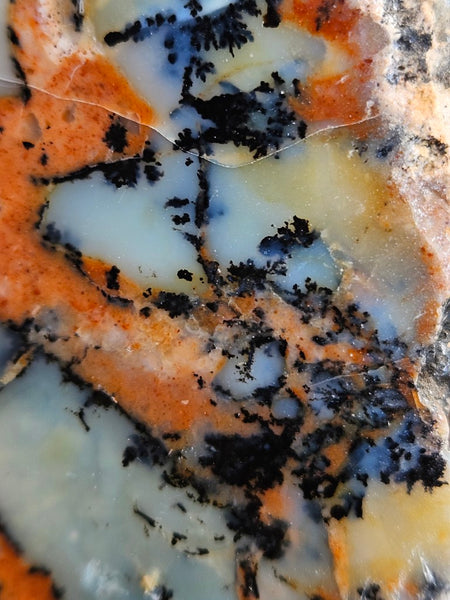 Polished Dendritic Opal  DO200