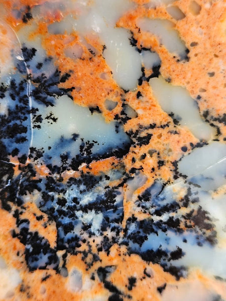 Polished Dendritic Opal  DO200