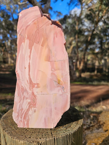 Polished Pink Opal  POP189