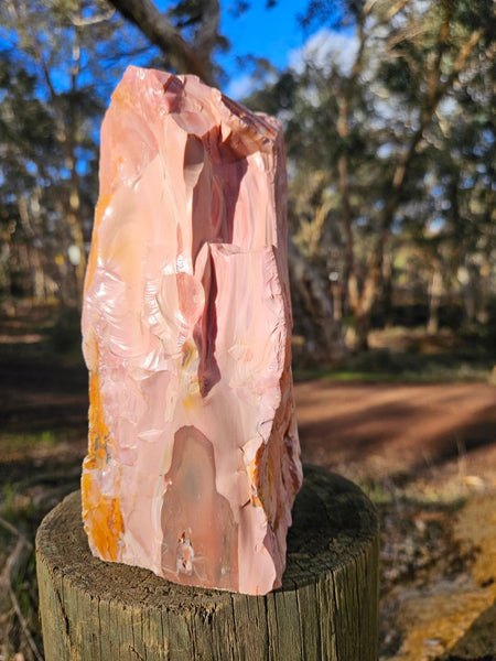 Polished Pink Opal  POP189