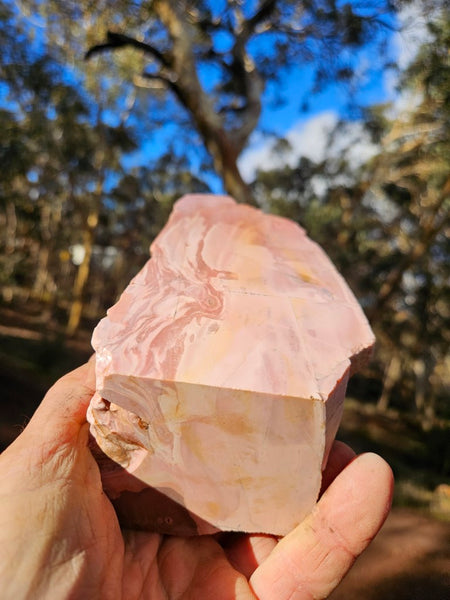 Polished Pink Opal  POP189