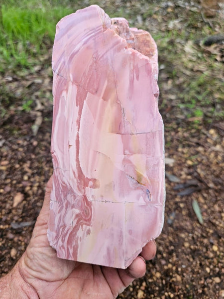 Polished Pink Opal  POP189