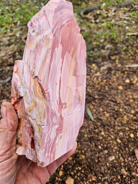 Polished Pink Opal  POP189