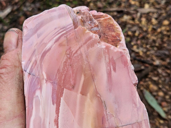 Polished Pink Opal  POP189