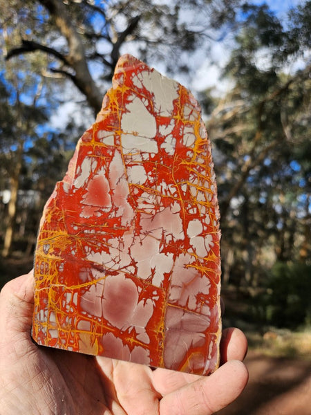 Polished Noreena Jasper. NJ469