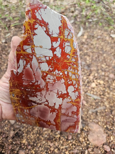 Polished Noreena Jasper. NJ469